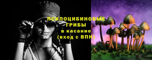 PSILOCYBIN Бородино