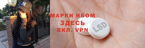 PSILOCYBIN Бородино