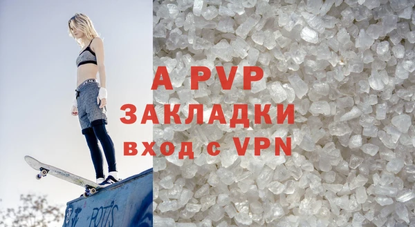 PSILOCYBIN Бородино