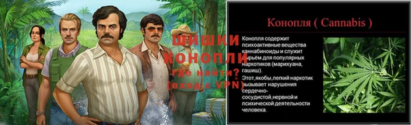 спайс Сясьстрой