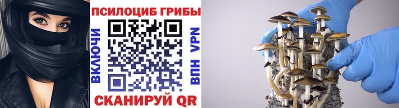 Галлюциногенные грибы GOLDEN TEACHER  Кировград 
